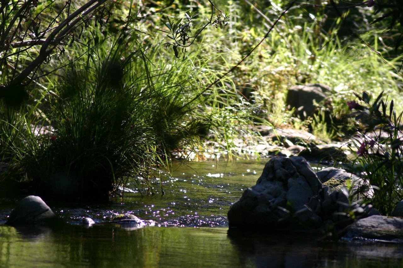 Hotel Camping La Brena Almodóvar del Río Exteriér fotografie